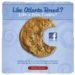 Peanut Butter Cookie