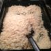 White Rice