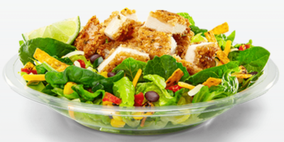 Asian Salad with Grilled Chicken (No Dressing)