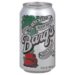 Barq’s Root Beer (Medium)