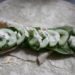 Cucumber Chicken Caeser Wrap